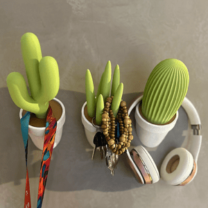 cactuganchos-6